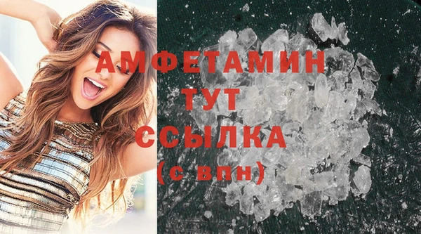 прущие грибы Бабаево