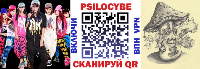 где найти наркотики  Абдулино  Псилоцибиновые грибы Psilocybe 
