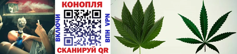 Бошки Шишки планчик  дарнет шоп  Абдулино 